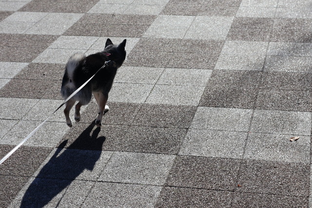 440CDF6C-E95E-4F02-9E43-74F0F58E37AF