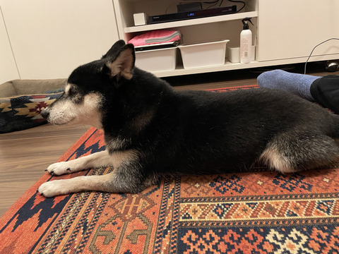 3B4DD8A0-2367-4754-A047-3CECD4F68A7B_1_105_c