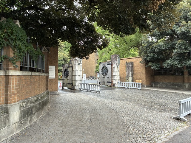 FAC0AD2E-BC0A-4770-940C-19F8A7C3D8E9_1_102_o