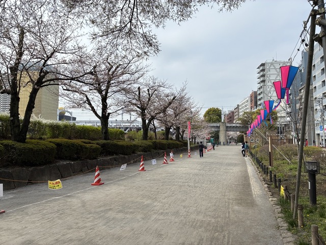 09951F84-E49D-4AB2-A533-874FF30CC292_1_105_c