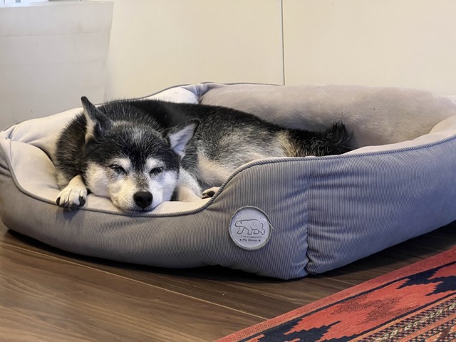 57E0446F-25B3-4B8B-94B4-6D09A6C3EA82_1_105_c