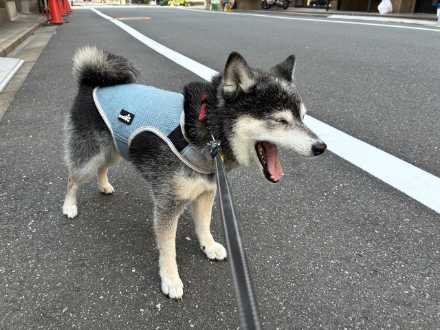 506E5A2F-7E64-4942-BAAA-7ABEA73258B1_1_105_c