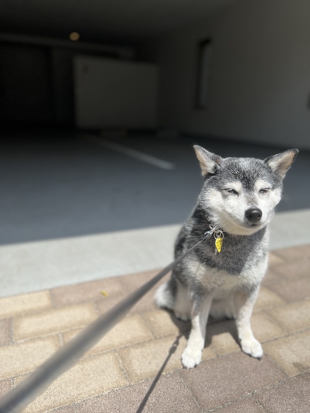 0CBE41A0-014D-478C-B56B-BDED97F9110C_1_105_c