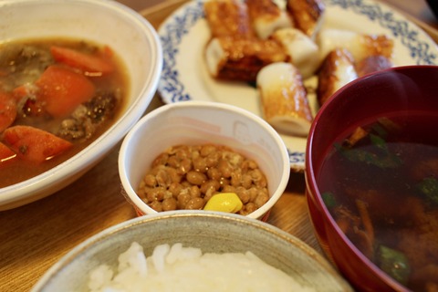 花粉症ジーラとサトウの絶品メンチカツとほんとうのさいわい