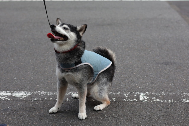 B89B09F4-AE58-4EE1-8EE2-8E378B8DA940_1_105_c