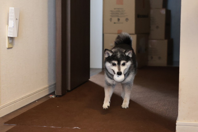 3CE14B59-FCF5-4E02-8E14-E3FFF4835AFD