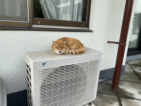 57659EB5-8BFC-4FFD-AFC0-98A8E087A998