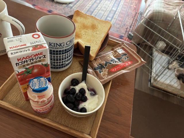 47430E3C-BC45-4218-A83A-DB8F03DB8CBD_1_201_a