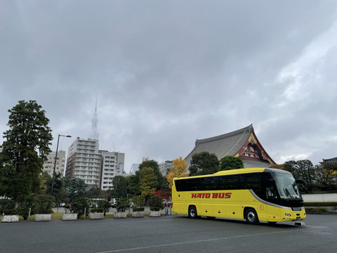 782C2BE9-D64C-4D64-9497-0229BAF5B45E_1_105_c