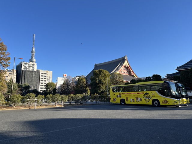 116D4BDC-C6EA-4989-86EA-D76367E50C0F