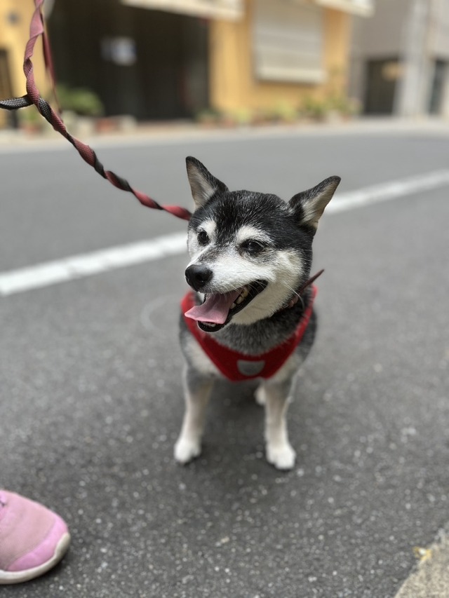 0226D1E6-DFC0-4ACD-AF2C-DDCBCB16A5A5_1_105_c