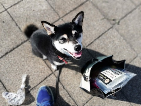 冬晴れの納豆ランチとカレイの煮付けとブロッコリー