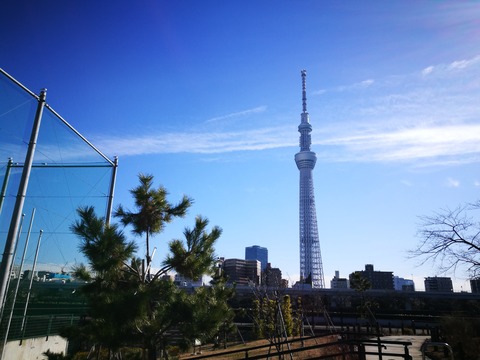 IMG_20180112_113556_1