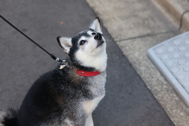 6BB756EE-04B6-4CB4-991D-BC72C7BE745D