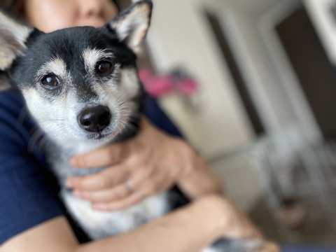 B1DB8164-646C-4E03-92F9-34CB186A384A_1_105_c