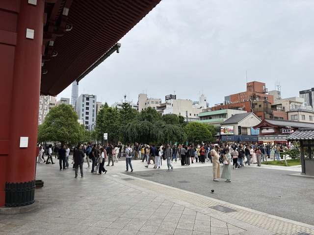 227F1E4A-5A26-4F1A-94C6-902A913CC003_1_102_o