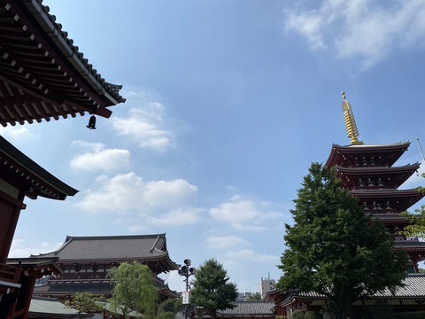 8266C354-E23B-4F06-AFF8-CD2F0FC61D8D_1_105_c