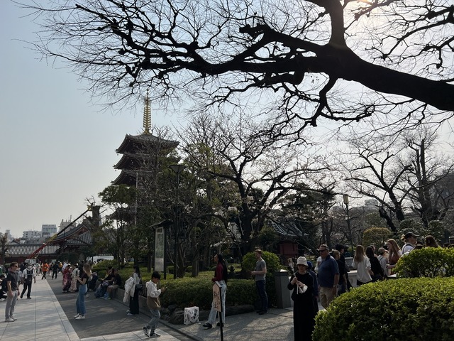 13DE4603-7312-4030-95CA-05C100A19369_1_105_c