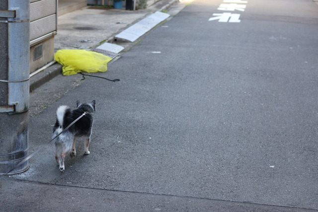 E000D0BD-D947-4E26-8F4F-4B1C8AEE7B1F