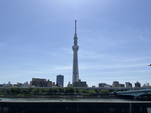 157541F4-1CDD-4C29-BD3D-A27933D4D794_1_105_c