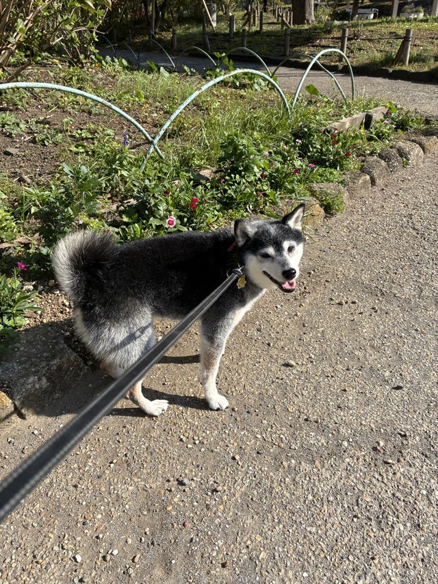 FC2E6580-440C-4FD2-92D1-B6D59103411A_1_105_c