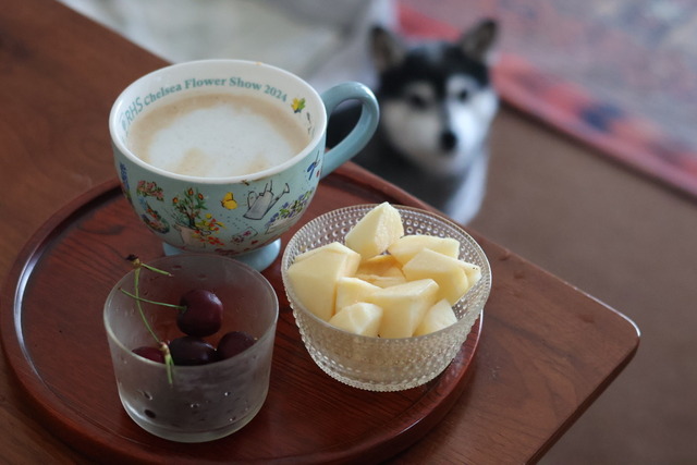 8C8FBF9B-5863-4471-A5BD-008D0FAB0CFB_1_105_c