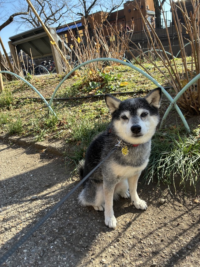 5A0A182C-4C04-484D-BBF2-60CAC4F702C0_1_102_o