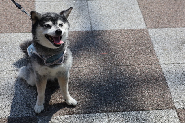 0CE5489E-132F-4322-B41D-D75C202FA51C_1_105_c