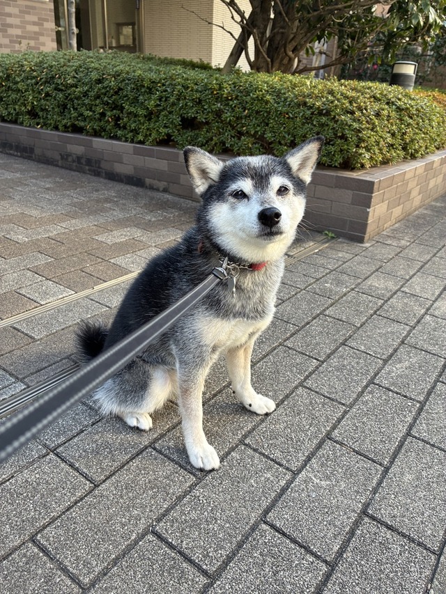 34F7429F-41BC-4D67-BAE0-C9CE9821F0BB_1_105_c