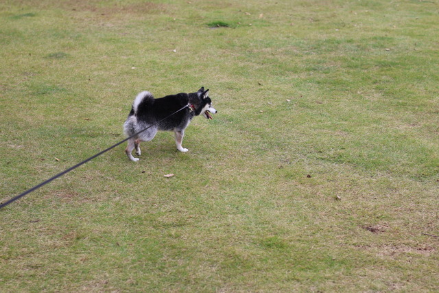 B92F9244-BB9B-4EFA-B08C-2E688B2E6FD9_1_105_c