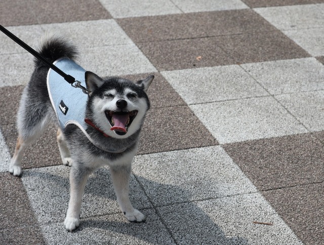 鴎外忌の無印パスタとおにぎり＆コロッケパン