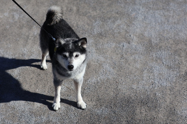 97480369-3A07-41BC-81C1-2A019D28A372_1_105_c