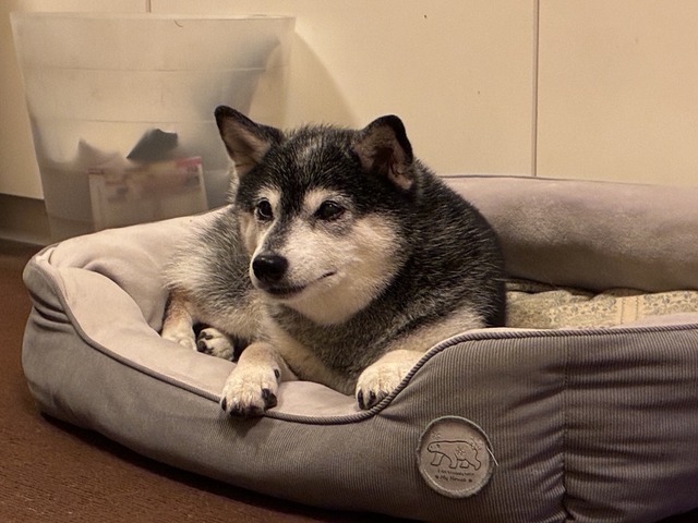 C6F344B4-71F2-406A-BC05-665E031CDD27_1_105_c