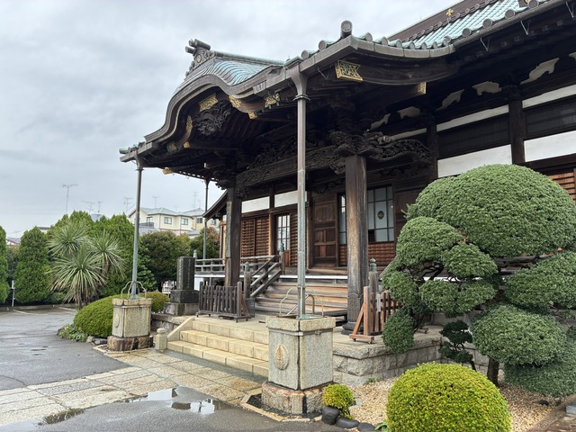 AE36838E-E4A1-46FF-948C-4ECE62FB4538_1_102_o