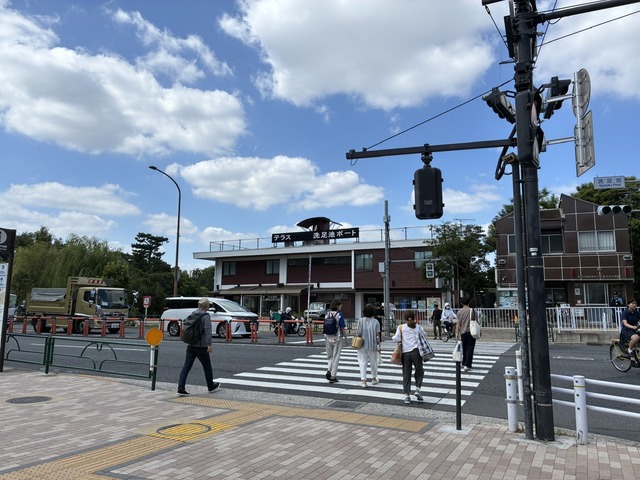 D7336D78-86F6-4DA9-825E-398B70E3BD6D_1_105_c
