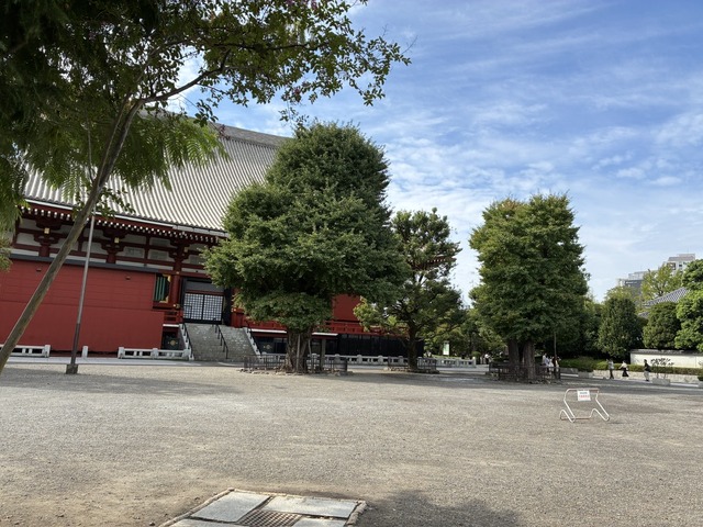 EEB78061-DF77-4C88-BBF0-1CA129974029_1_105_c