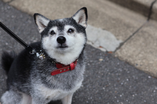 42D6EEA4-8C75-4E41-93E3-66BC10C0CB5A_1_105_c