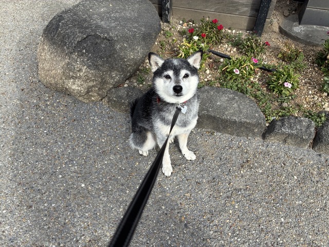 595316BE-655B-4850-81BB-472771201392_1_105_c