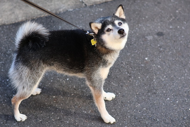 588D0654-82AC-4E09-8499-7C5128EB6C77