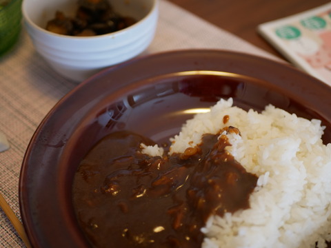 梅雨空のハヤシライスとボスと冬瓜