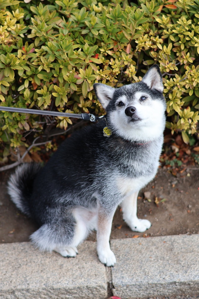 760D286D-7B8F-4332-9F2B-3270FC148C2D_1_105_c