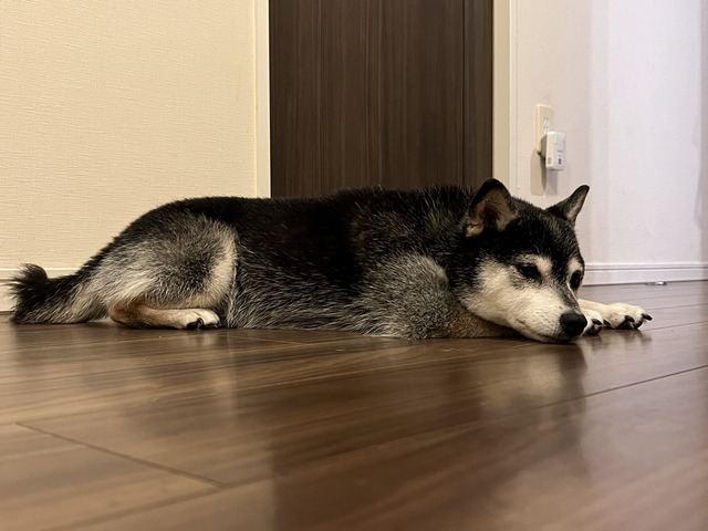晩夏のおにぎりランチと小さんま塩焼き