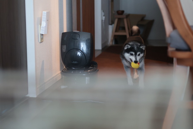 CF7D6E58-2BE1-4FD1-9C4D-CB68F316EEF1_1_105_c