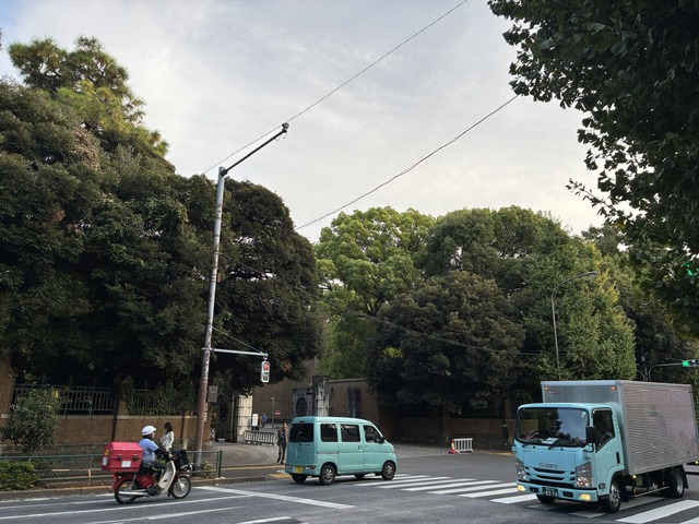 E05D8752-3D76-480C-96D6-09587E207526_1_102_o