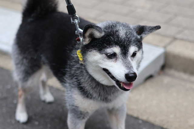 31969E6E-DE4B-4069-9792-6902DA706D06_1_105_c