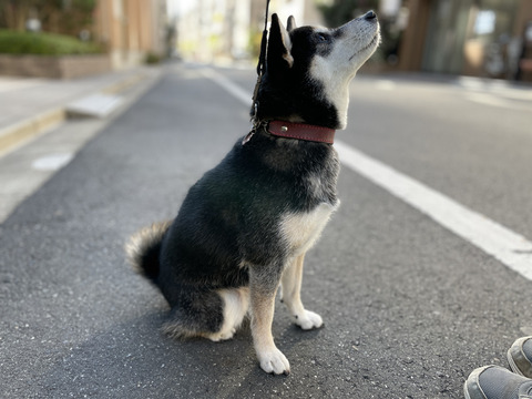 6A22F546-71F8-4439-A664-1F68836AB3B8_1_105_c