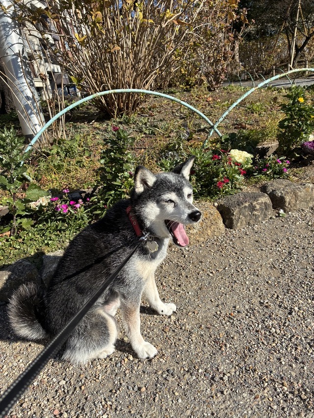 94EDA0A4-5D8B-44B0-8A72-049897C6ADBB_1_105_c