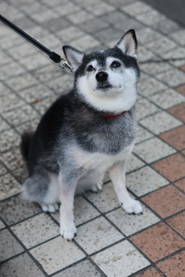 44DF84AD-121A-4035-A329-610655D4F769