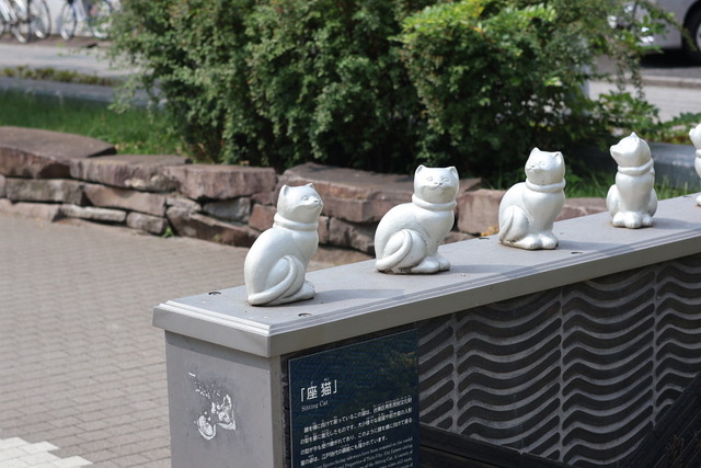 306C76CC-C010-42B6-94DC-666694920A38_1_105_c