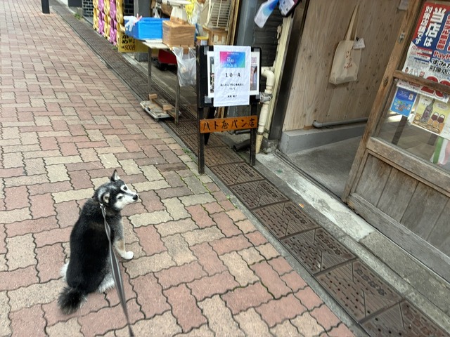 CED91F77-6367-411D-95B1-F275664CDEA3_1_105_c